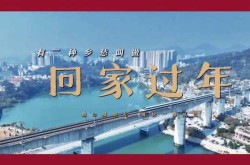 过年能返乡回家吗专家：能（过年回家吗）