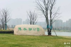 池州疫情封城时间，池州封城期间如何出行