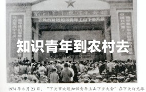 知青含义及历史背景，对中国有何影响？
