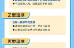 疫情爆发是在几月几日，疫情发生在几月几日