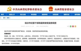 纪检监察机关处理主动投案规定解读，具体要求是什么？