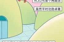 感染新冠病毒是怎么样的，新冠病毒是怎么感染人体的