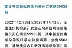 2020年新冠疫情死亡人数（中国死于新冠的有多少人）