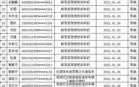 驾照查询在哪个网站进行？怎样辨别真假驾照信息？