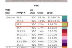 世卫：新变异株BF.7或成全球主流（全球新冠病毒变异株）