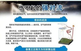 强对流天气致4人坠楼身亡？事故原因及安全预防措施是什么？