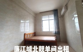 廉江房屋出租价格行情如何？有哪些热门房源？