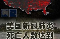 美国新冠病毒确诊超165万（新冠病毒导致多少人死亡）