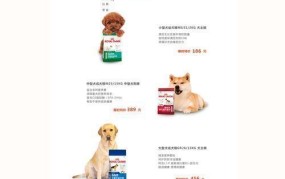 如何开设宠物用品店？需要注意哪些事项？