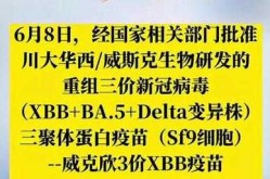 全球首个针对xbb的新冠疫苗获批紧急使用（sbb新冠疫苗）