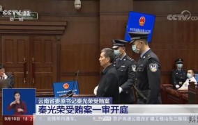 秦光荣受贿案一审宣判：如何分析案件背后的原因？
