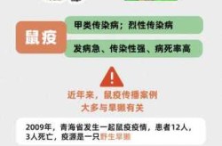 近4年全国已报11例鼠疫 死亡4例（中国最近发生的鼠疫）
