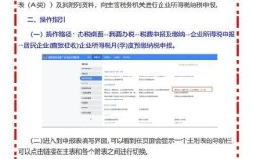 广西国税网上申报系统操作指南，税务申报更便捷