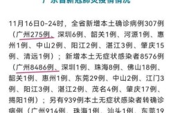 广东新增本土病例1例是哪里的，广东最新本土确诊病例