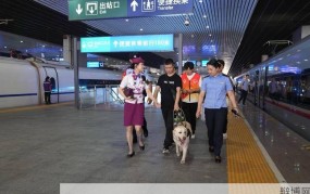 成都火车站咨询热线，如何获取列车信息？