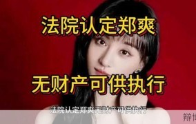 郑爽隐瞒财产被判刑，法律解读与警示