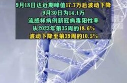 2023年新冠病毒的传播情况（2023年的疫情是什么病毒）