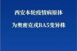 新毒株BA.5登陆北京西安 意味着什么（西安有新冠病毒患者吗）