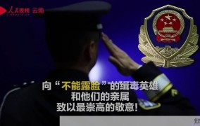 缉毒警卧底10天减重25斤，如何保持身体健康？