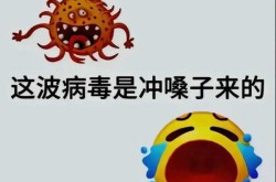 新冠毒株来袭最新消息，冠道2.0国六最新消息