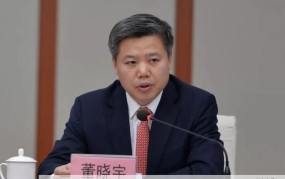 董晓宇任河北公安厅党委书记，将有何举措？