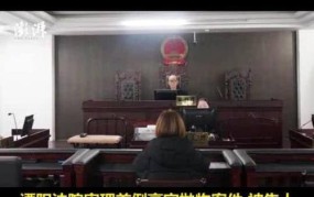 女子3楼扔菜刀获刑6个月，有何法律依据？