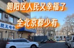 朝阳区是疫情处置的重中之重（传染病疫情处置）