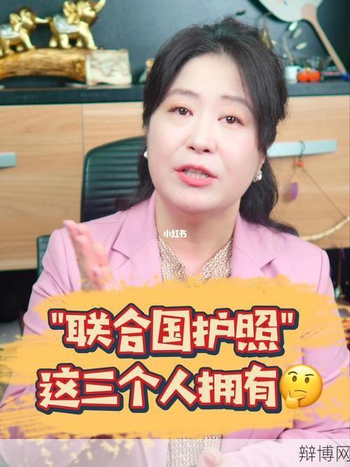 联合国通行证如何申请?需要满足哪些条件?-辩博网 联合国通行证如何申请?需要满足哪些条件?-辩博网
