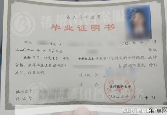 毕业证丢了怎么办?如何补办?-辩博网 毕业证丢了怎么办?如何补办?-辩博网