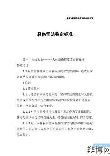 轻微伤标准是什么?如何判定伤情?-辩博网 轻微伤标准是什么?如何判定伤情?-辩博网