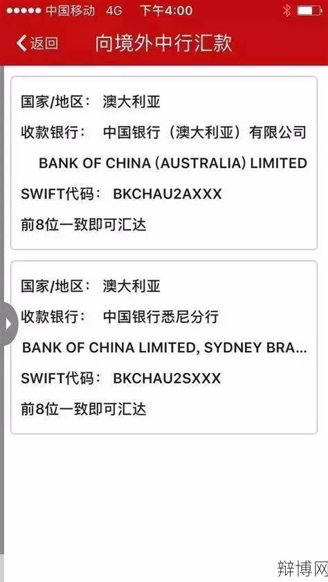 向境外汇款需要遵守什么规定？有哪些限制？-辩博网