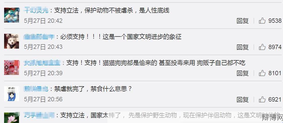禁虐禁食猫狗的法律规定有哪些？如何遵守？-辩博网
