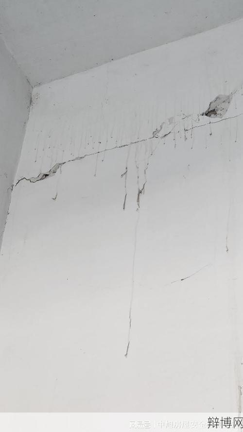 房屋裂缝鉴定标准是什么?如何进行专业鉴定?-辩博网 房屋裂缝鉴定标准是什么?如何进行专业鉴定?-辩博网