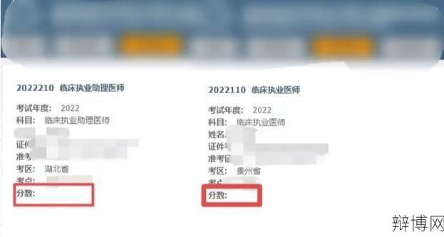 执业医师成绩查询入口官网，怎样查询成绩？-辩博网