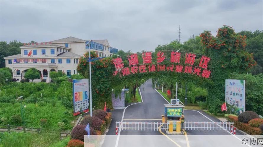 江夏区五里界发展前景如何？有哪些投资机遇？-辩博网