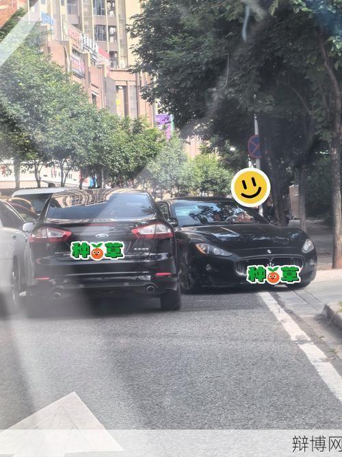 玛莎拉蒂案件最终判决,车主将面临何种处罚?-辩博网 玛莎拉蒂案件最终判决,车主将面临何种处罚?-辩博网