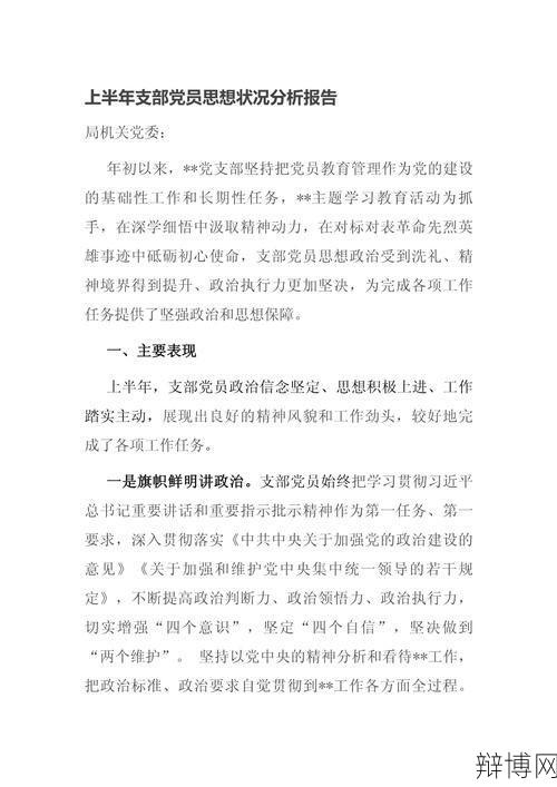 党支部分析报告如何撰写？有哪些要点？-辩博网