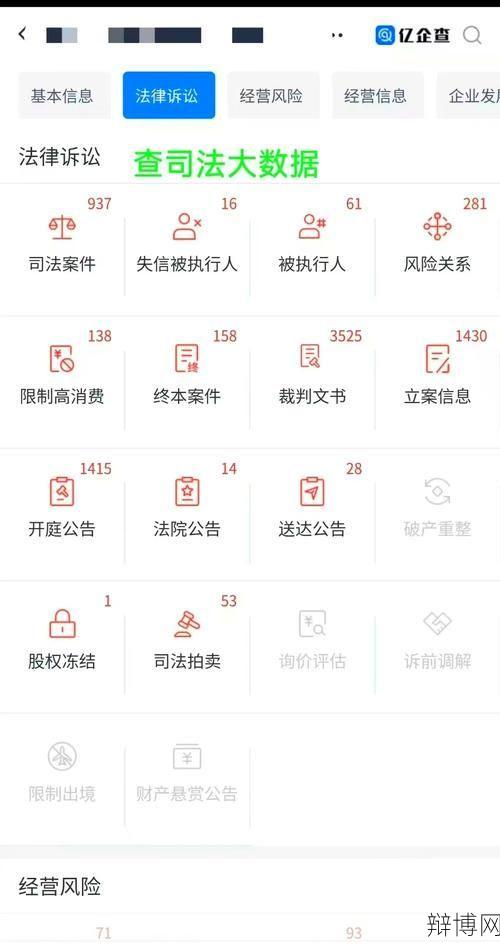 企业信息网查询系统操作指南，效率翻倍-辩博网