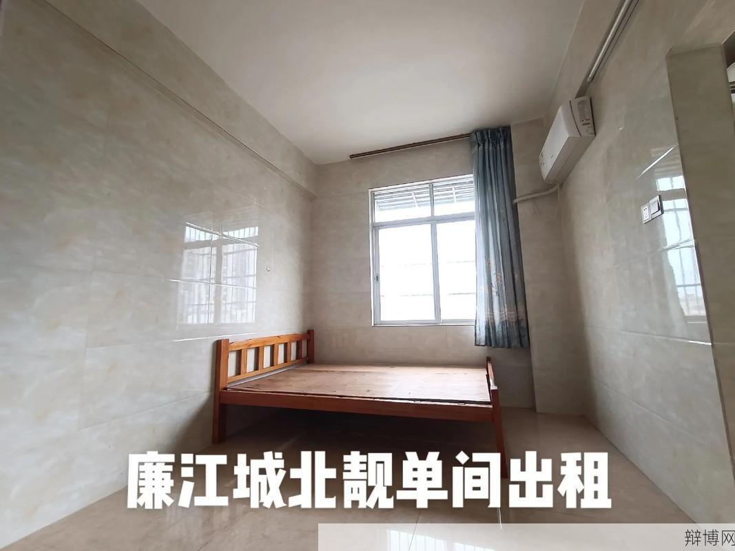 廉江房屋出租价格行情如何？有哪些热门房源？-辩博网