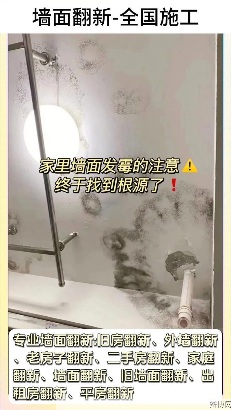 墙面发霉怎么办?家居清洁小妙招-辩博网 墙面发霉怎么办?家居清洁小妙招-辩博网