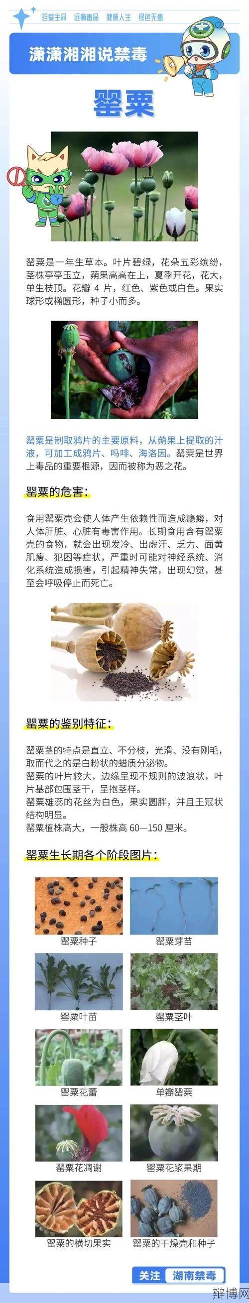麻辣烫加罂粟被判刑，食品安全如何保障？-辩博网