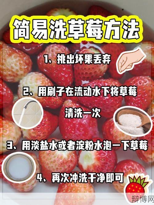 草莓如何清洗才能更干净？有哪些清洗技巧？-辩博网