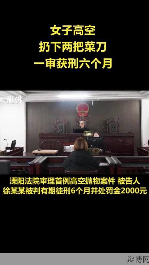 女子3楼扔菜刀获刑6个月,有何法律依据?-辩博网 女子3楼扔菜刀获刑6个月,有何法律依据?-辩博网