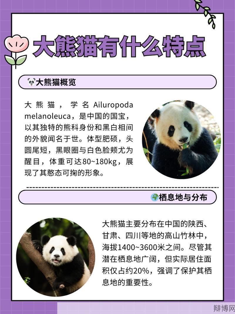 大熊猫的外形特点有哪些？大熊猫生活习性及保护措施？-辩博网