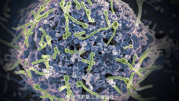 乌干达埃博拉疫情已致141人确诊 55人死亡(乌干达新冠疫情最新消息)