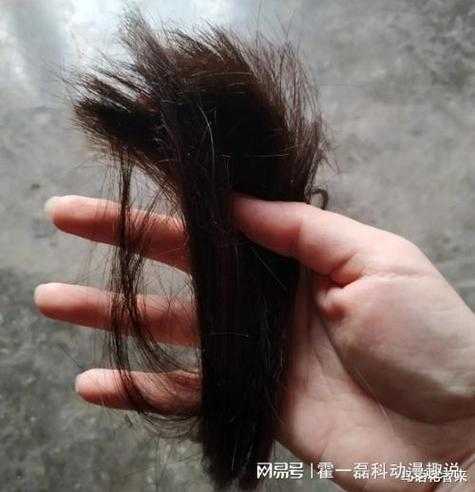 顾客头发理一半着急回家理发师隔栅栏剪完(理发店故意把头发剪短)