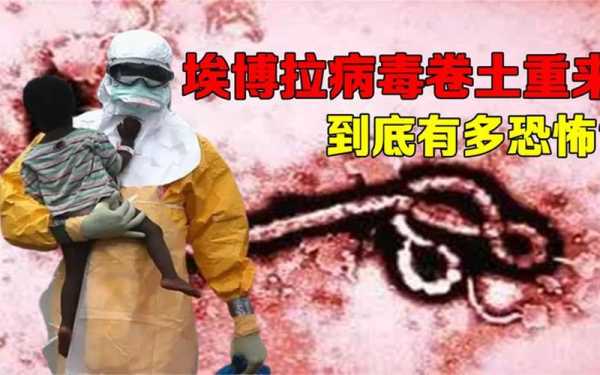 世卫组织在哪一年宣布西非抗击埃博拉疫情（2014西非埃博拉病毒）