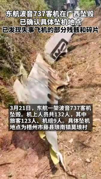 东航坠机:已基本确定坠机事故主要撞击点（今天有飞机坠落吗）