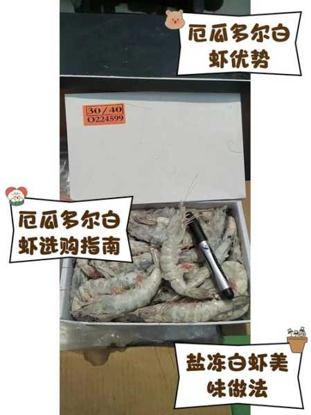 厄瓜多尔白虾外包装查出新冠病毒(厄瓜多尔白虾外包装什么样)