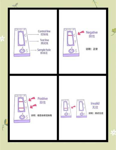 抗原检测试剂盒使用方法图解(胶体金试剂盒使用方法)